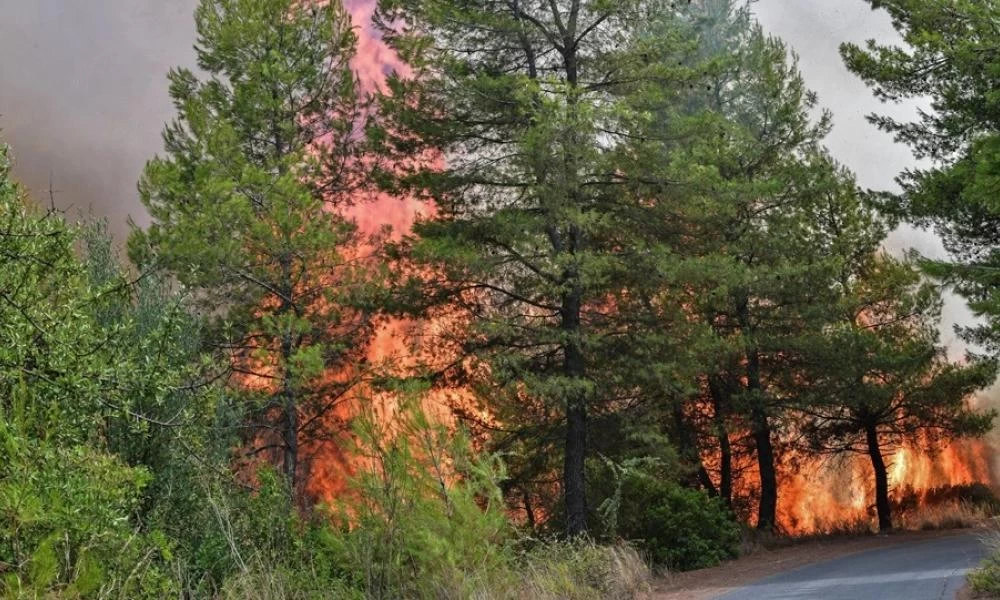 Πυρκαγιές: Υψηλός κίνδυνος σε Αττική, Εύβοια και Λακωνία - Αναζωπυρώσεις σε Ηλεία και Μάνη